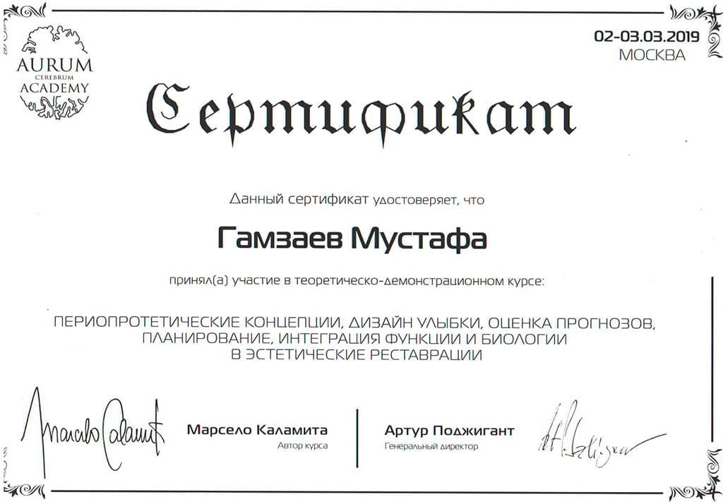 Сертификат 13 — Гамзаев Мустафа Явсупиевич